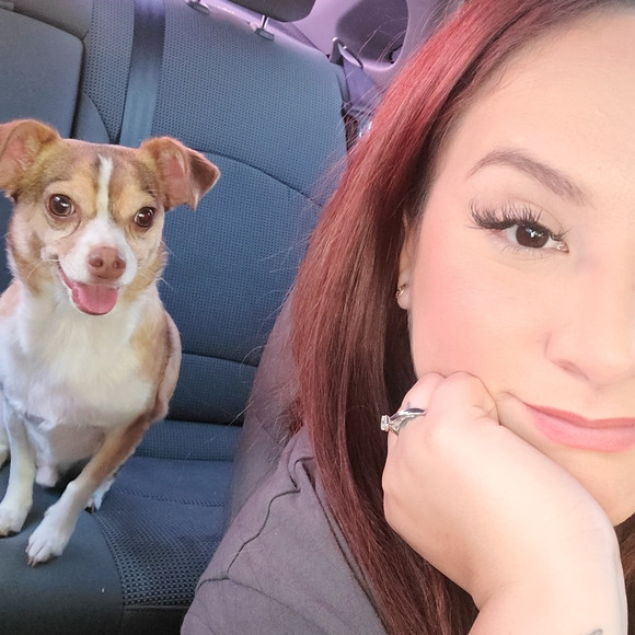 Welcome to my closet - Picture 1 of 2